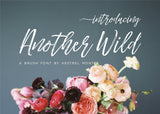 Another Wild Modern Brush Font-wedding invitation font-Ink Me This