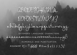 Echo Falls Modern Calligraphy Font-wedding invitation font-Ink Me This