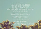 Eclipse San Serif Font-wedding invitation font-Ink Me This
