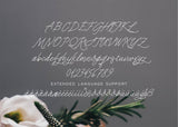 Que Sera Script Font-wedding invitation font-Ink Me This
