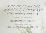 Verbatim Calligraphy Font-wedding invitation font-Ink Me This