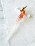 Calligraphy Pen Holder: Stardust