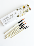 Signature Wedge Brush Set