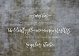Another Wild Modern Brush Font-wedding invitation font-Ink Me This