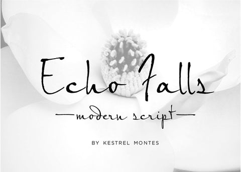 Echo Falls Modern Calligraphy Font-wedding invitation font-Ink Me This