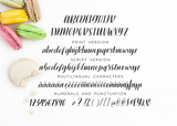 Picky Girl Font Duo-wedding invitation font-Ink Me This