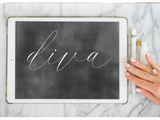 Procreate Brush: Diva-wedding invitation font-Ink Me This