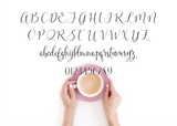 Sifted Modern Calligraphy Font-wedding invitation font-Ink Me This